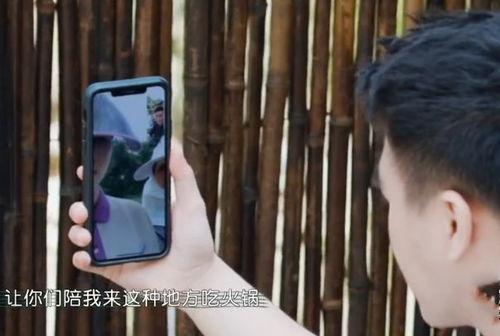 四太爆料何猷君视频播放,揭秘豪门背后的真相