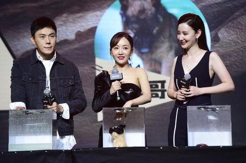 718娱乐圈吃瓜汇总,揭秘明星幕后故事,吃瓜汇总大盘点 第2张 718娱乐圈吃瓜汇总,揭秘明星幕后故事,吃瓜汇总大盘点 第2张